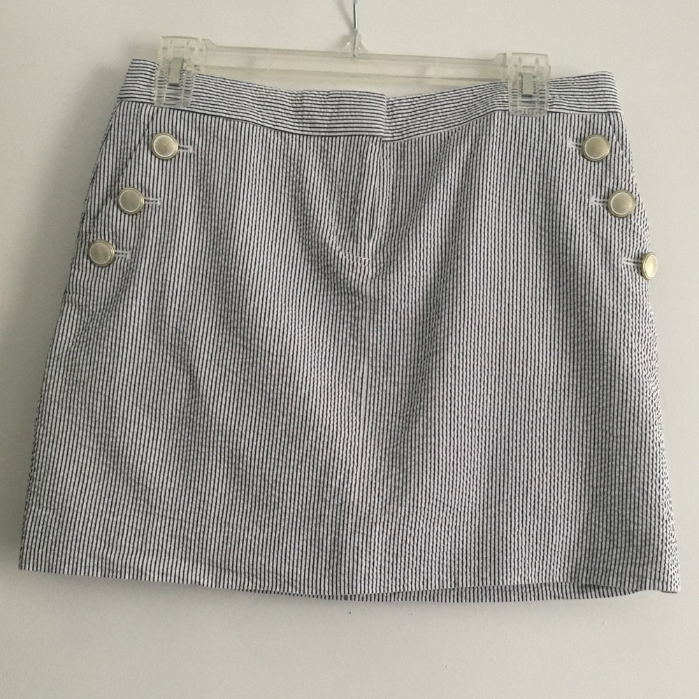 J Crew Skirt
